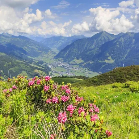 Charming With Alps View Apartment *